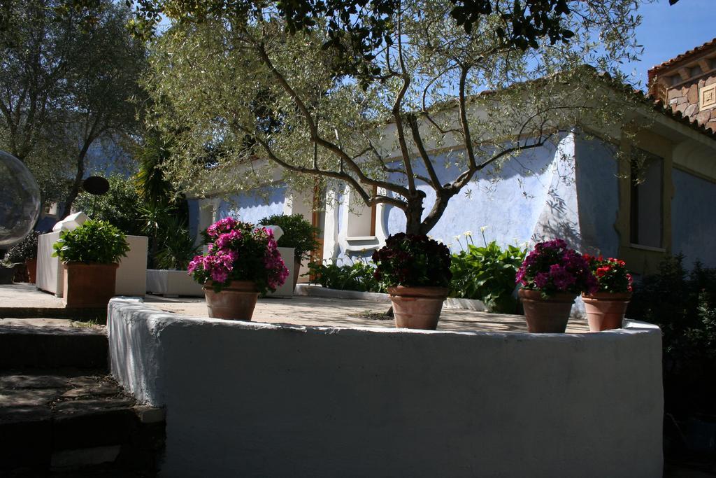 Residenza Di Campagna Seranile Dorgali Extérieur photo