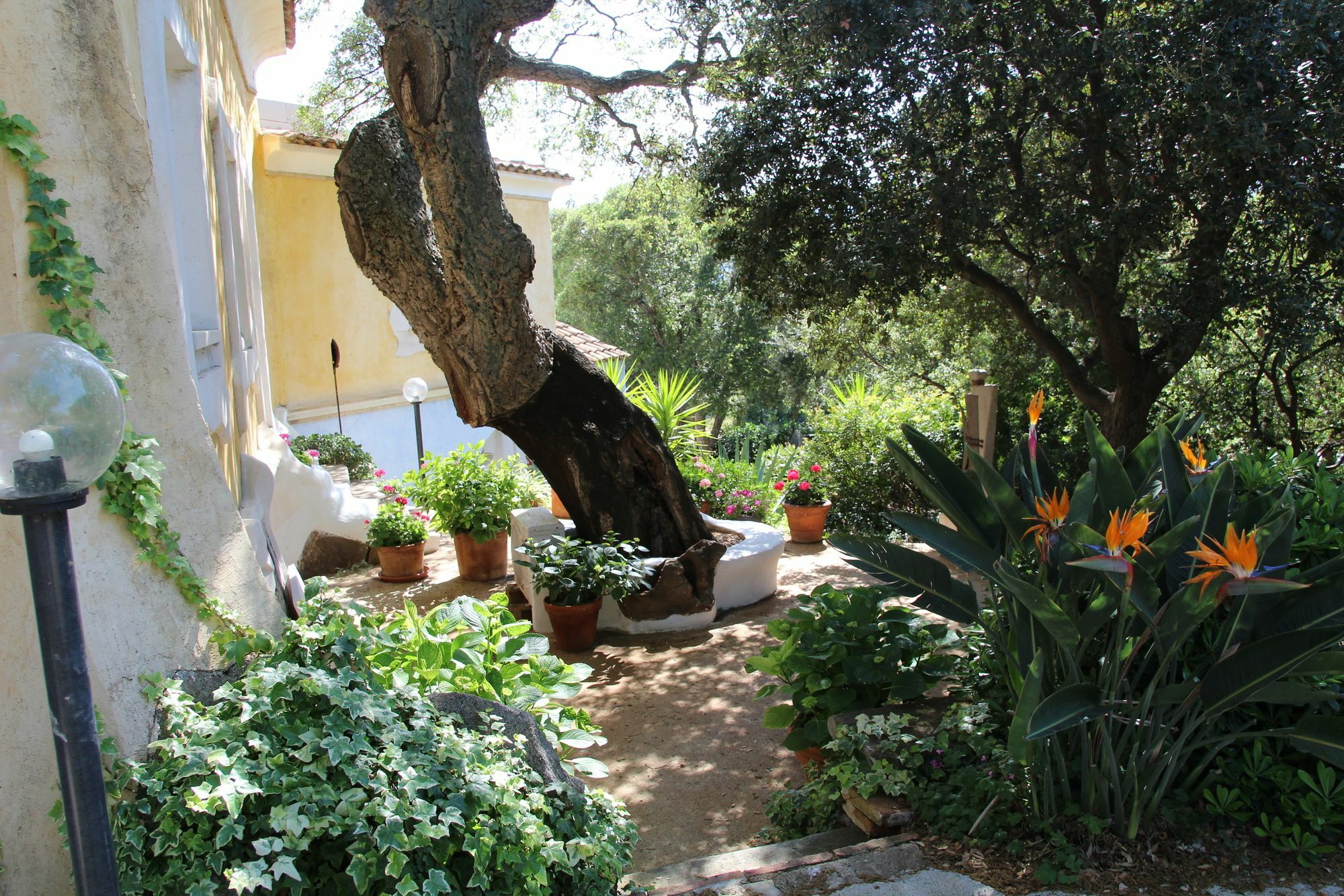 Residenza Di Campagna Seranile Dorgali Extérieur photo